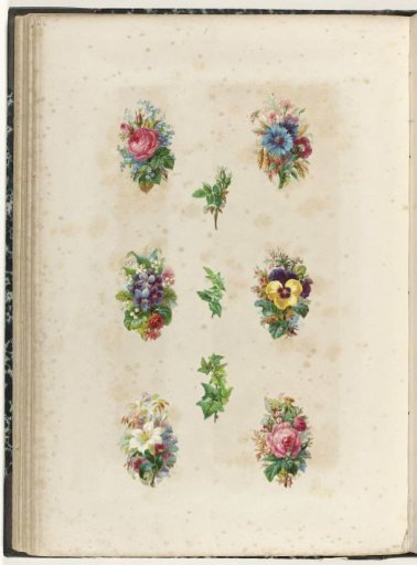 Nine poetry prints with flowers and plants