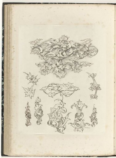 Ten Motifs of Vine Scrolls