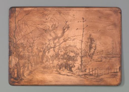 Garden path with willows