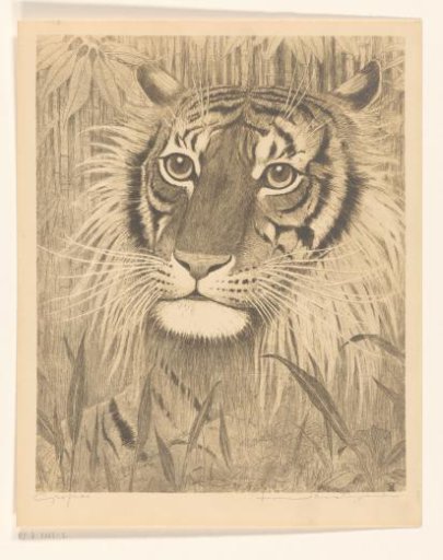 Head of a tiger