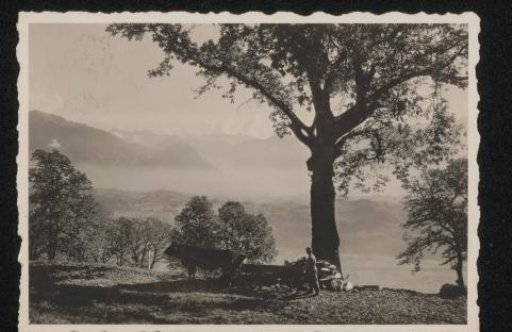 Postcard to Willem Bogtman