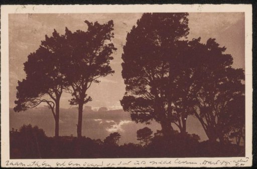 Postcard to Willem Bogtman