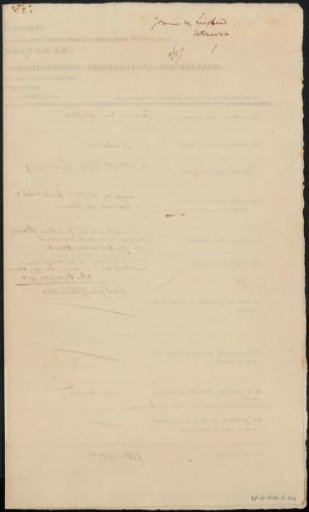 Questionnaire filled out by Joannes van Liefland