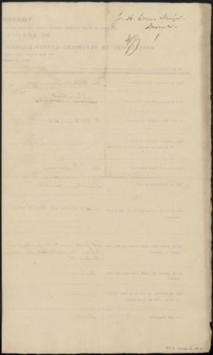 Questionnaire Filled Out by Louis Meijer