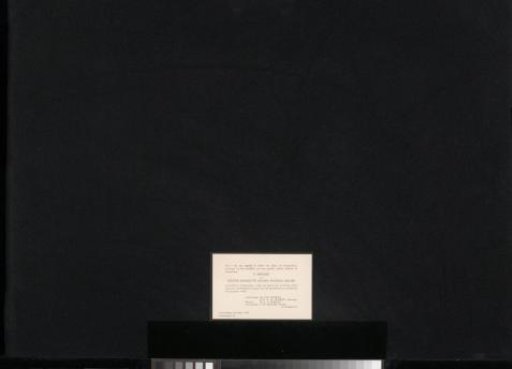 Thank-you card to the board of directors of the Rijksmuseum Amsterdam