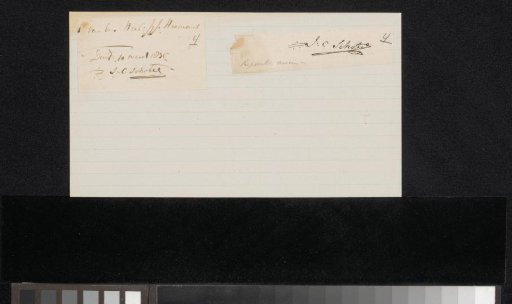 Signatures of Johannes Christiaan Schotel