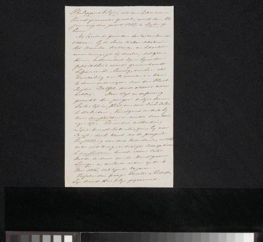 Note concerning Philippus Velijn