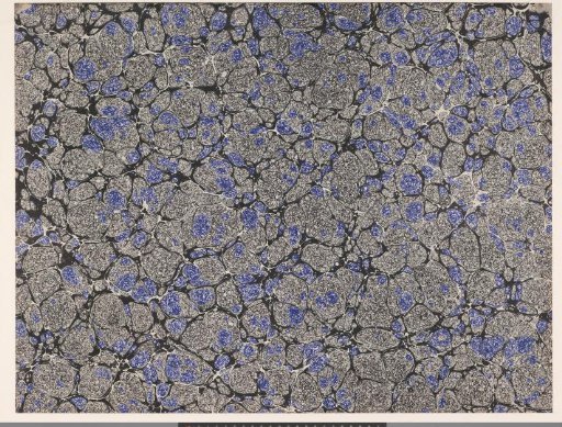 Granite marble in blue and black