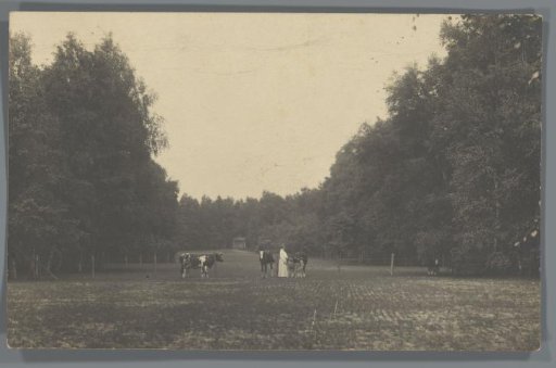 Jeannette de Lange in the meadow with horses and cows