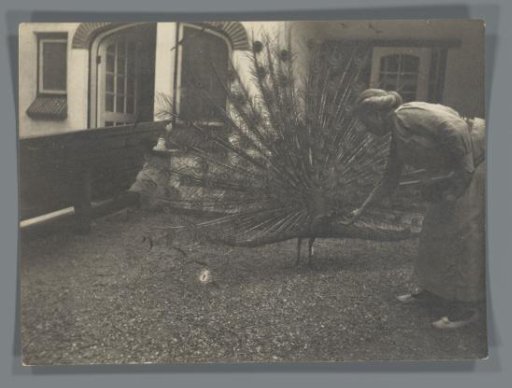 Jeannette de Lange with a peacock on display at De Polberg