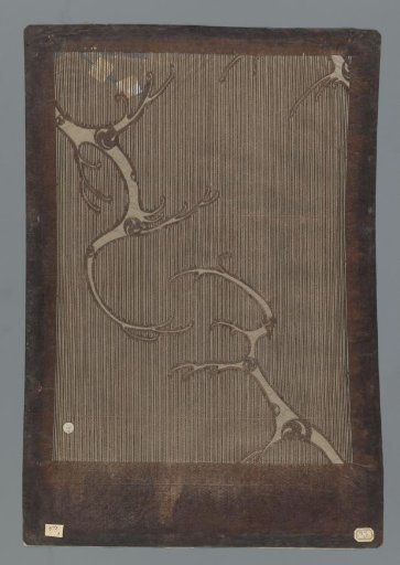 Pattern with two branches