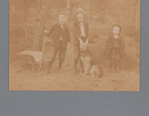 Group portrait of Lucas, Willem and Goverdus Henricus Jonker with a dog in the woods
