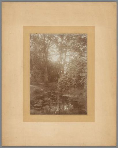 View of a Pond