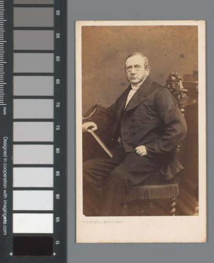 Portrait of Mr. Nije