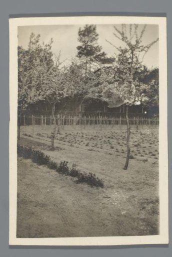 View of a Field