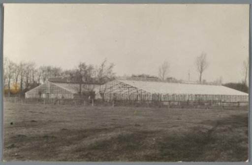 View of a nursery