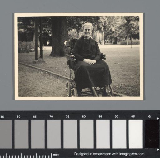 Portrait of an Unknown Woman in a Wheelchair in the Park