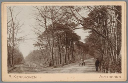 Beginning of the Amersfoortseweg near Apeldoorn