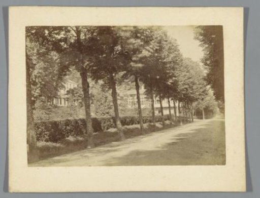 Road with trees near Cleves