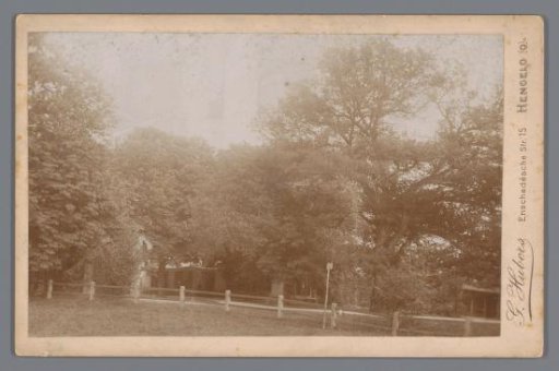 View of a park