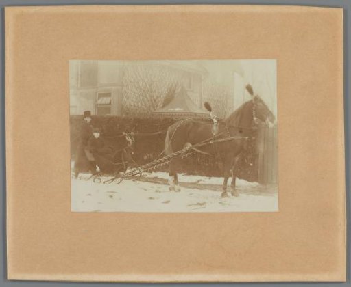Man and woman on a sled drawn by a horse
