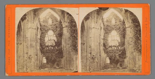 View of the Interior of an Overgrown Cathedral