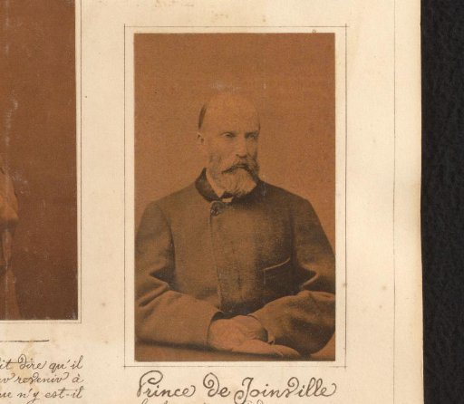 Portrait of François d'Orléans
