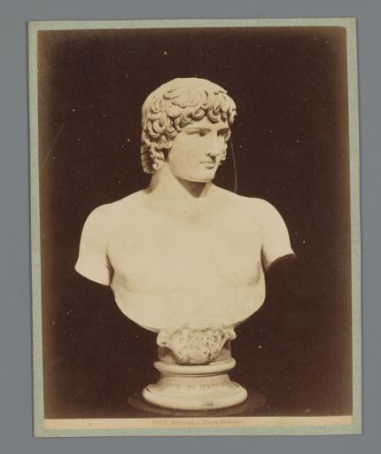 Bust of Antinous