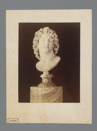 Roman bust