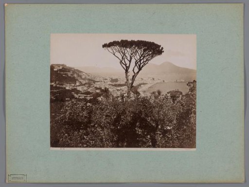 View of the Vomero District with a Stone Pine in the Foreground, Naples, Italy