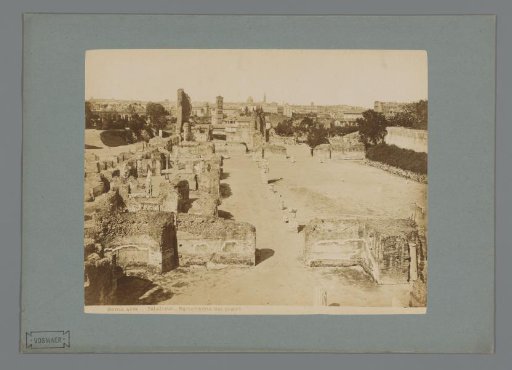 Excavations viewed from the Palatine in Rome, Italy