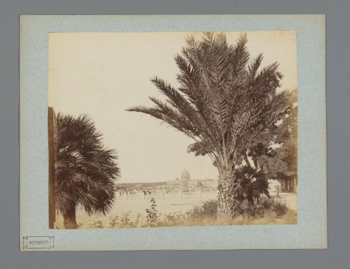 View of the dome of a cathedral with palm trees in the foreground, Italy