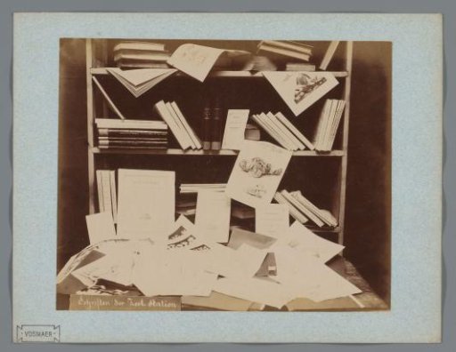Publications and Prints at the Zoological Station in Naples