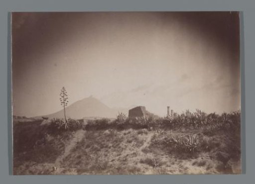 Landscape with the Vesuvius in the Distance