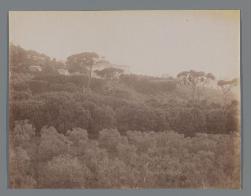 Landscape near Frascati