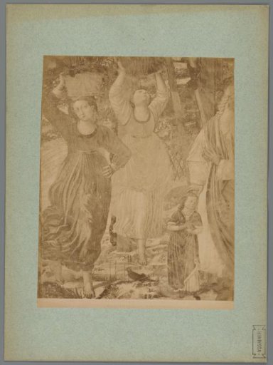 Photographic reproduction of the left part of the fresco The Wine Harvest of Noah by Benozzo Gozzoli