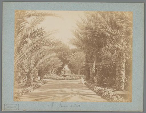 Botanical Garden of Hamma in Algiers