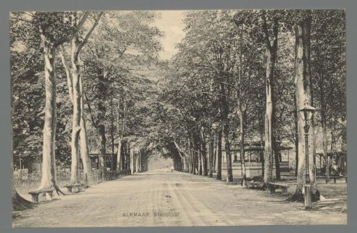 Alkmaar, Stadshout