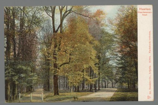 Haarlem. Haarlemmerhout