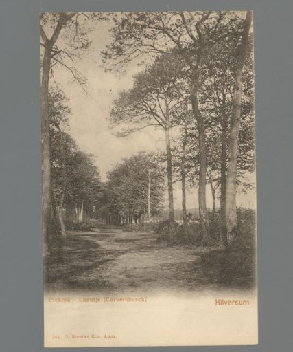 Picnic - Alley (Corversbosch). Hilversum