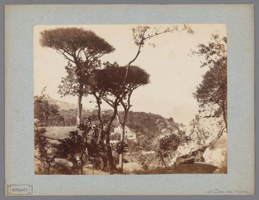 View of Capri from Massa with pines