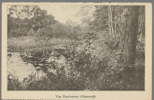 Van Esschenven (Oisterwijk)