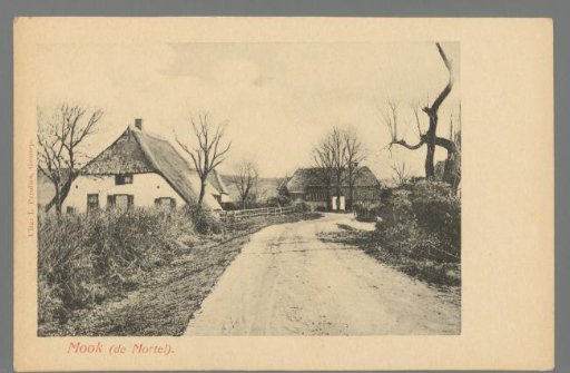 Mook (De Mortel)