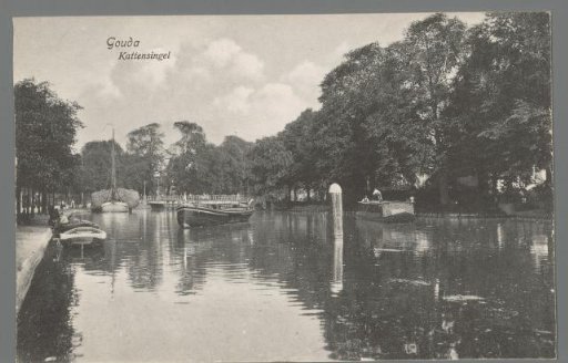 Gouda. Cat Singel