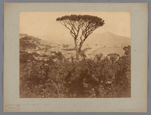 View of Posilippo, near Naples, with a pine tree in the foreground