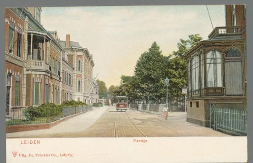 Leiden. Plantation