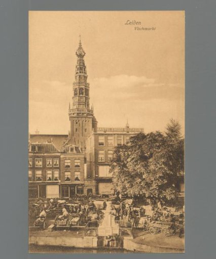 Leiden. Fish Market