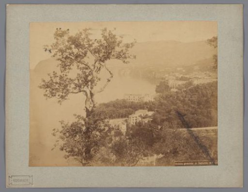 View of Sorrento and the Bay of Naples, with Tree in the Foreground