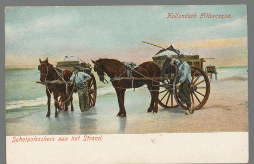 Dutch Picturesque. Shellfish Gatherers on the Beach