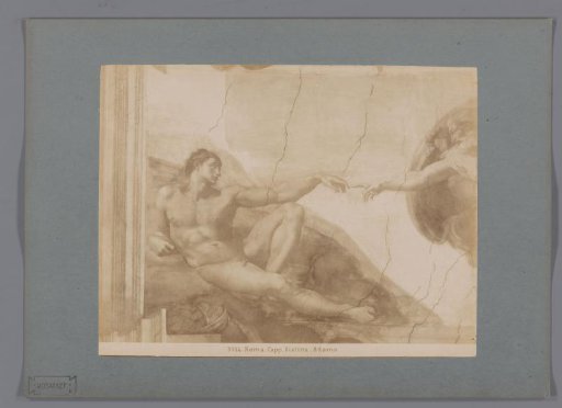 Photographic reproduction of the fresco The Creation of Adam by Michelangelo in the Sistine Chapel